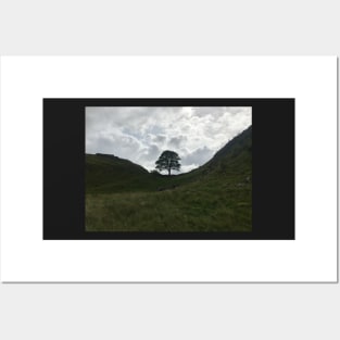 sycamore gap on hadrians wall Posters and Art